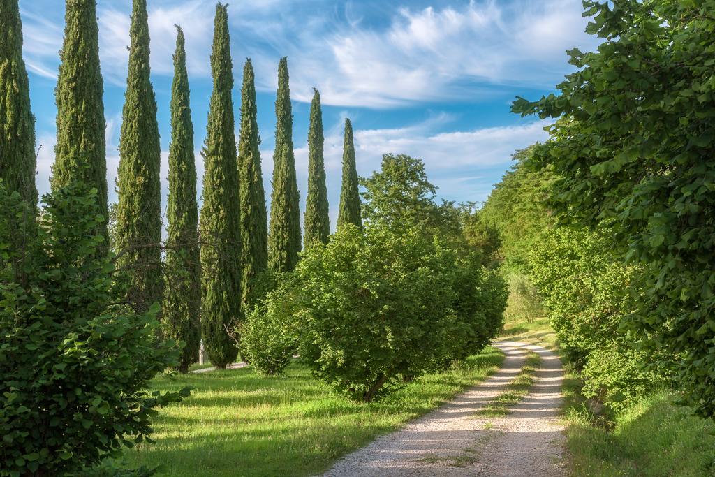 Fattoria Di Vibio Otel Monte Castello di Vibio Dış mekan fotoğraf